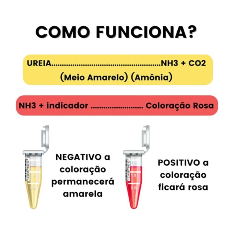 Como funciona Teste de Urease - Caixa com 50 Unidades - Luckman